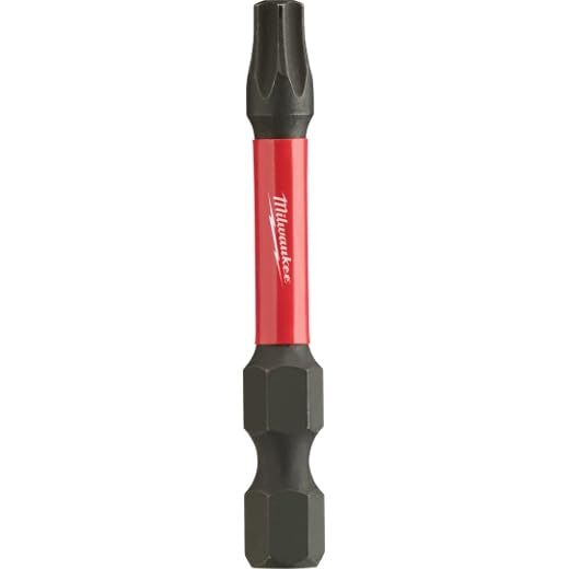 MILWAUKEE ELEC TOOL 48-32-4485 2" T25 Torx Power Bit