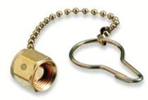 WE DC-580 DUST CAP ASSEMBLY