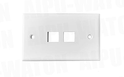 2 prots 80*80MM French type faceplate 2 prots 80*80MM French type faceplate