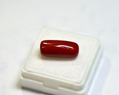 Red Cora;