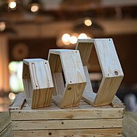 Hexagon Wall Shelf Set (Set of 3)