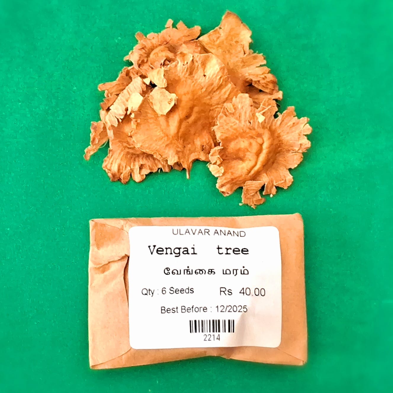 Vengai Maram | Pterocarpus marsupium (வேங்கை மரம்)