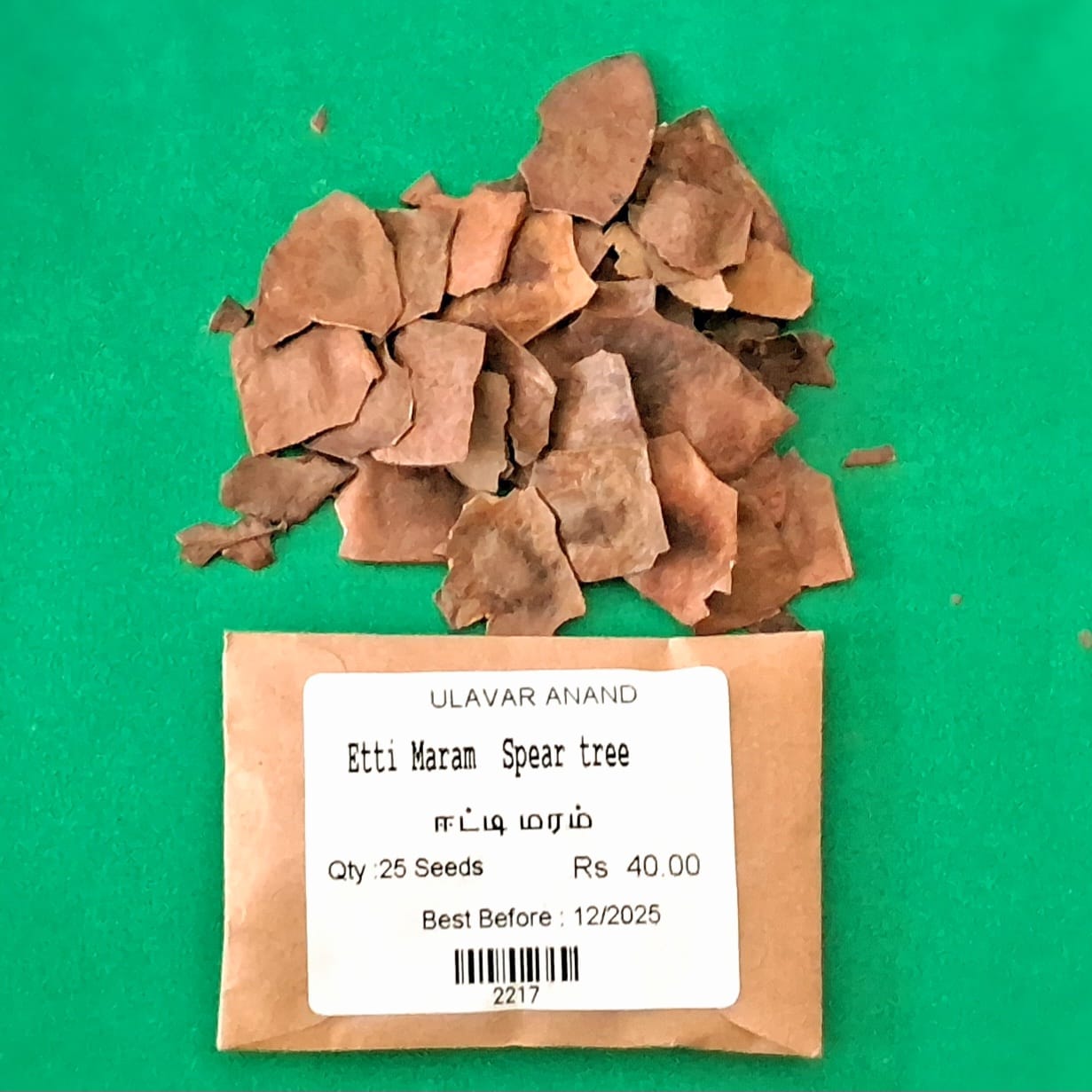 Etti Maram | Spear tree (ஈட்டி மரம்)