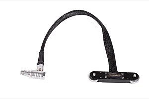Wooden Camera RED® Male Pogo to Male LCD/EVF Cable (12in/30cm, RED® DSMC2™)