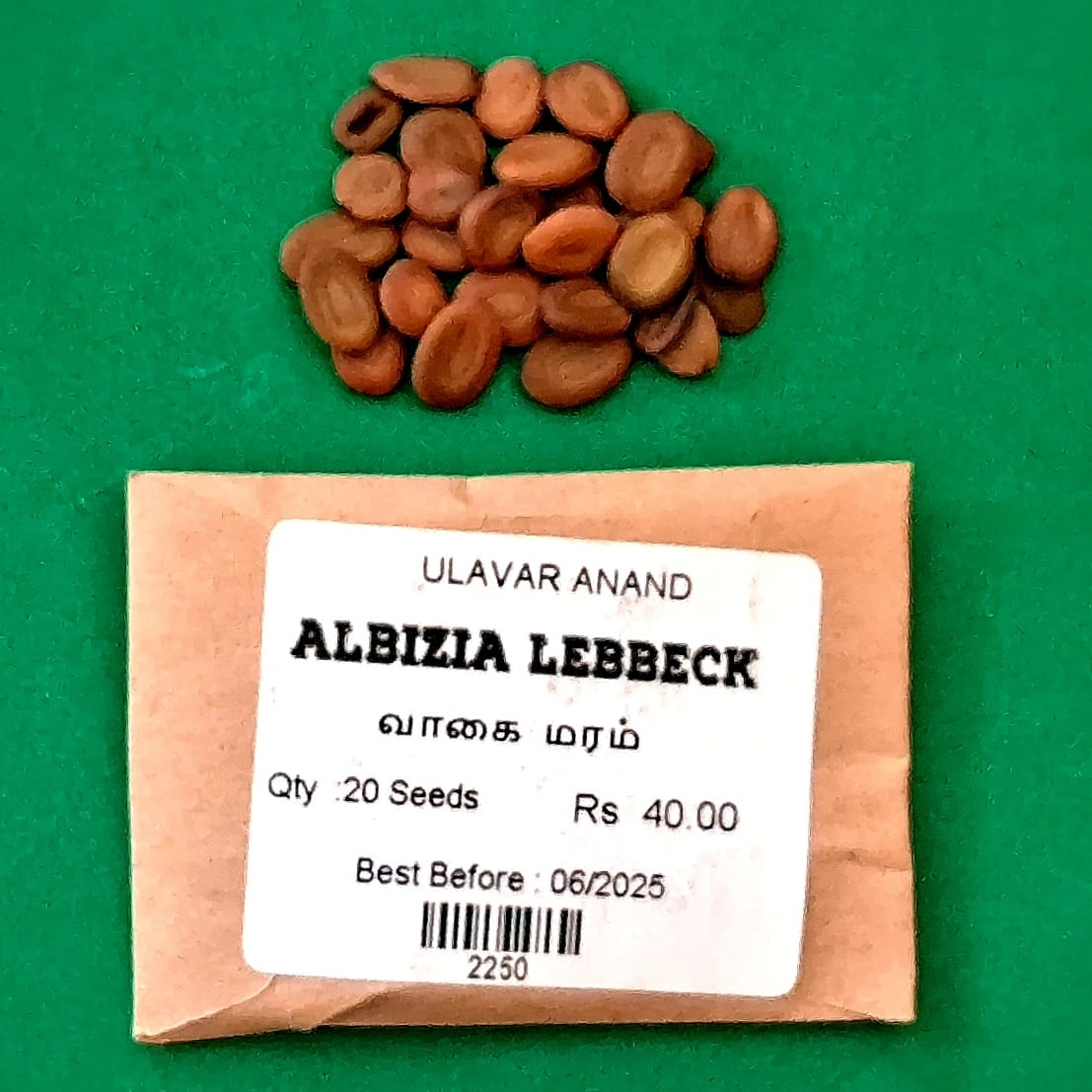 Albizia lebbeck (வாகை மரம் )