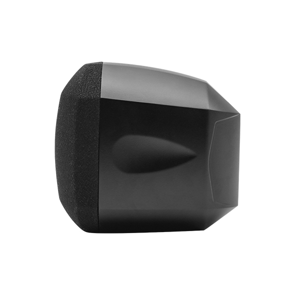 DSP129 - 20W (Black) Wall Speaker