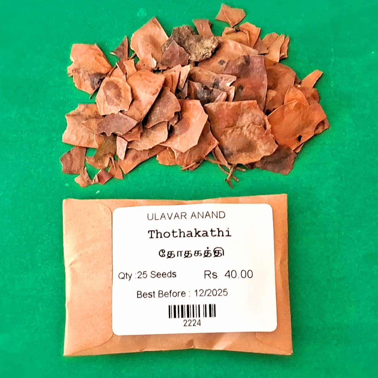 Thothakathi | Indian Rosewood Tree (தோதகத்தி )