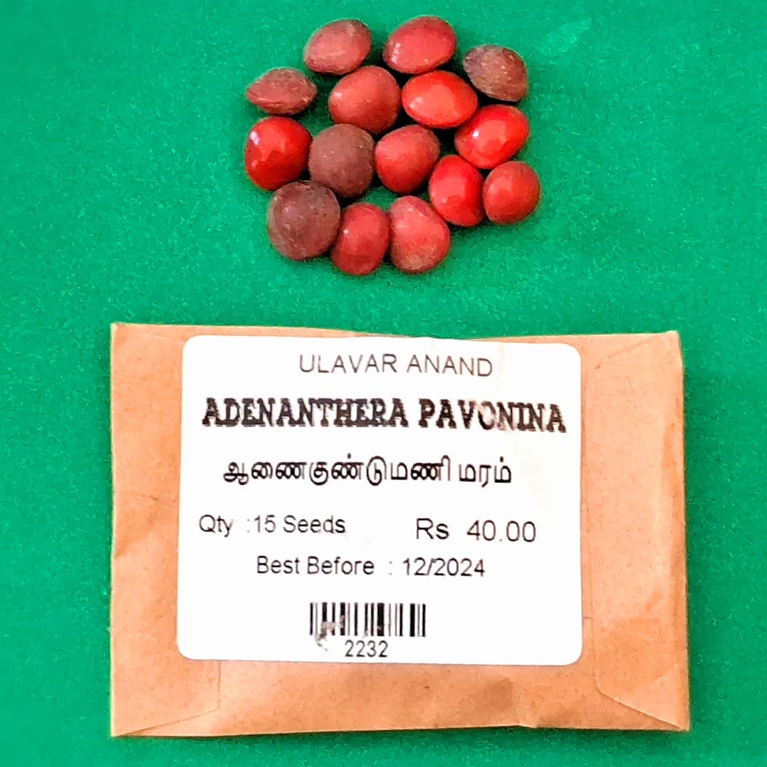 Adenanthera pavonina (ஆணை குண்டுமணி )
