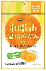 R) Kaneka Wakayama Mandarin Mikan Gummy 40g_8/10/1.4oz