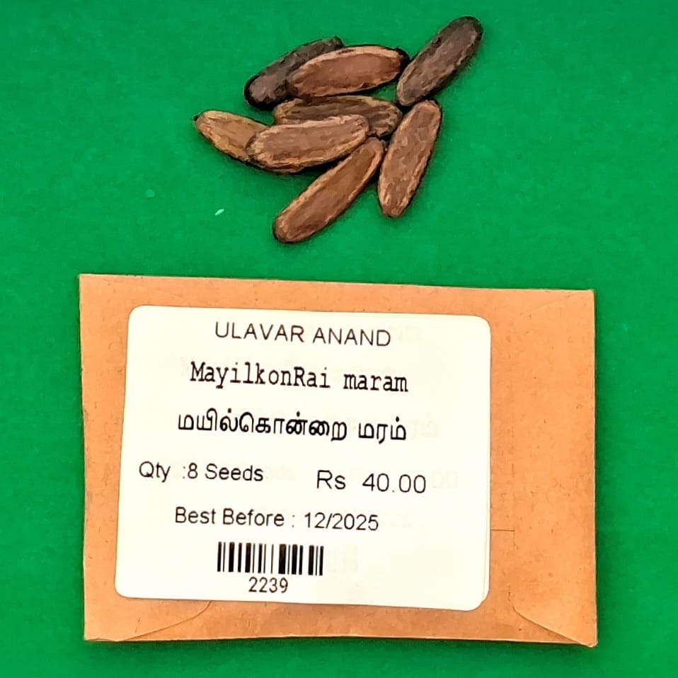 Mayil konRai (மயில்கொன்றை )