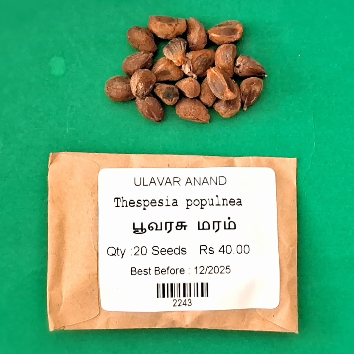 Thespesia populnea (பூவரசு மரம் )