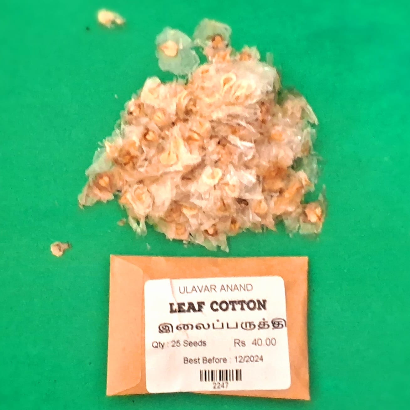 Leaf Cotton Seed ( இலைப்பருத்தி விதை )