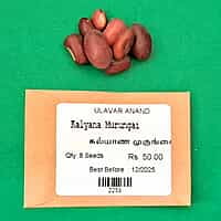 Kalyana Murungai | கல்யாண முருங்கை