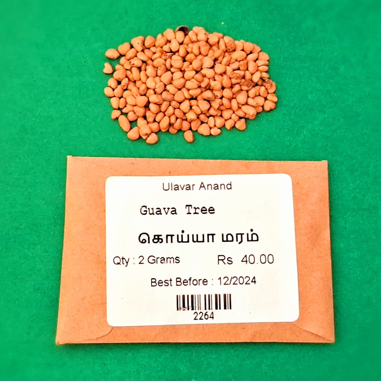 Koyya Maram | Guava Tree(கொய்யா மரம்)