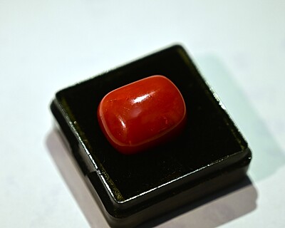 Red Cora;