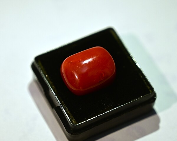 Red Cora;