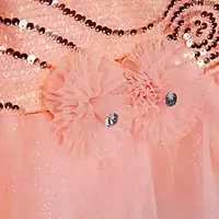 Grand frock with Net and work - model 2