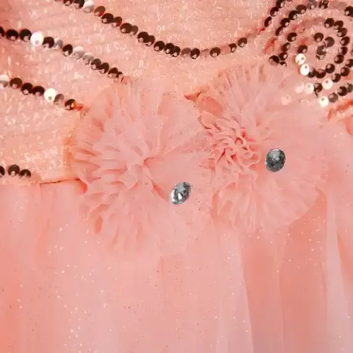 Grand frock with Net and work - model 2