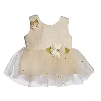 Grand frock with Net and work - model 2