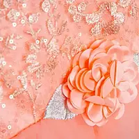 Grand frock with Net and work - model 2