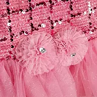 Grand frock with Net and work - model 2