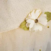 Grand frock with Net and work - model 2