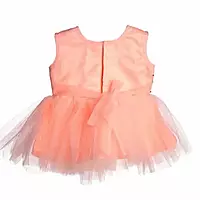 Grand frock with Net and work - model 2