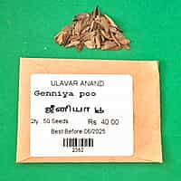 ஜீனியா பூ | Genniya poo