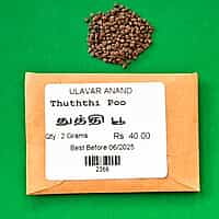 துத்தி பூ | Thuththi Poo