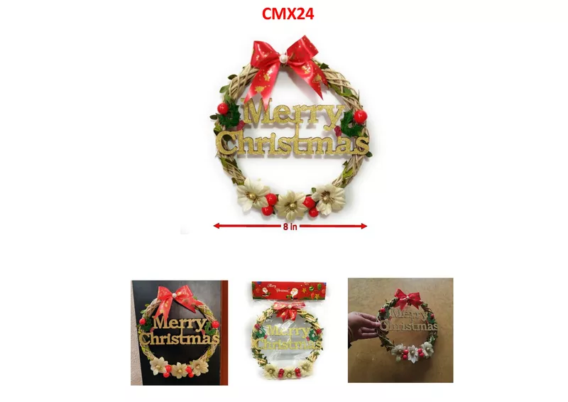 CMX24