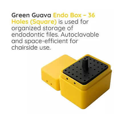 Endo Box- Square 36 Holes