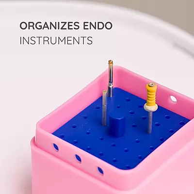 Endo Box- Square 36 Holes