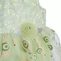 Grand frock with Net and work - model 1