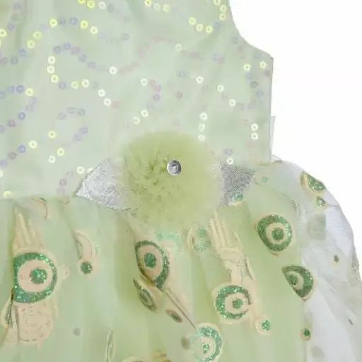 Grand frock with Net and work - model 1