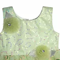 Grand frock with Net and work - model 1