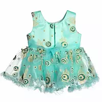 Grand frock with Net and work - model 1