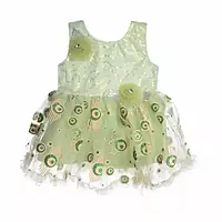 Grand frock with Net and work - model 1