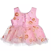 Grand frock with Net and work - model 1