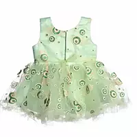 Grand frock with Net and work - model 1