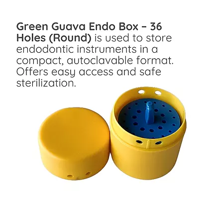 Endo Box Round-26 Holes
