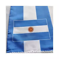 ARGENTINA World Cup 2026 Scarf 14x135cm