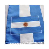 ARGENTINA World Cup 2026 Scarf 14x135cm