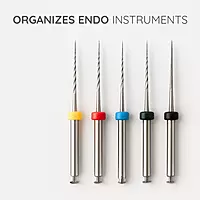 Endo Box Round-26 Holes