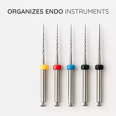 Endo Box Round-26 Holes