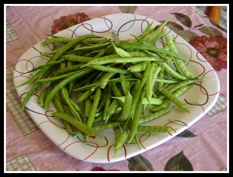 KOTHAVARAI - CLUSTER BEANS