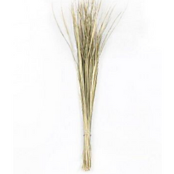Durbe, Dry Grass