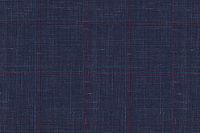 25055 Navy Micro Houndstooth With Red Check