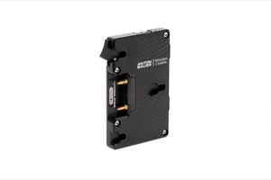 Wooden Camera WC Pro Gold Mount (3x D-Tap)