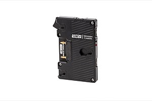 Wooden Camera WC Pro Gold Mount (3x D-Tap)