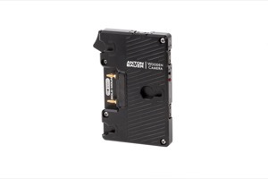 Wooden Camera WC Pro Gold Mount (3x D-Tap)